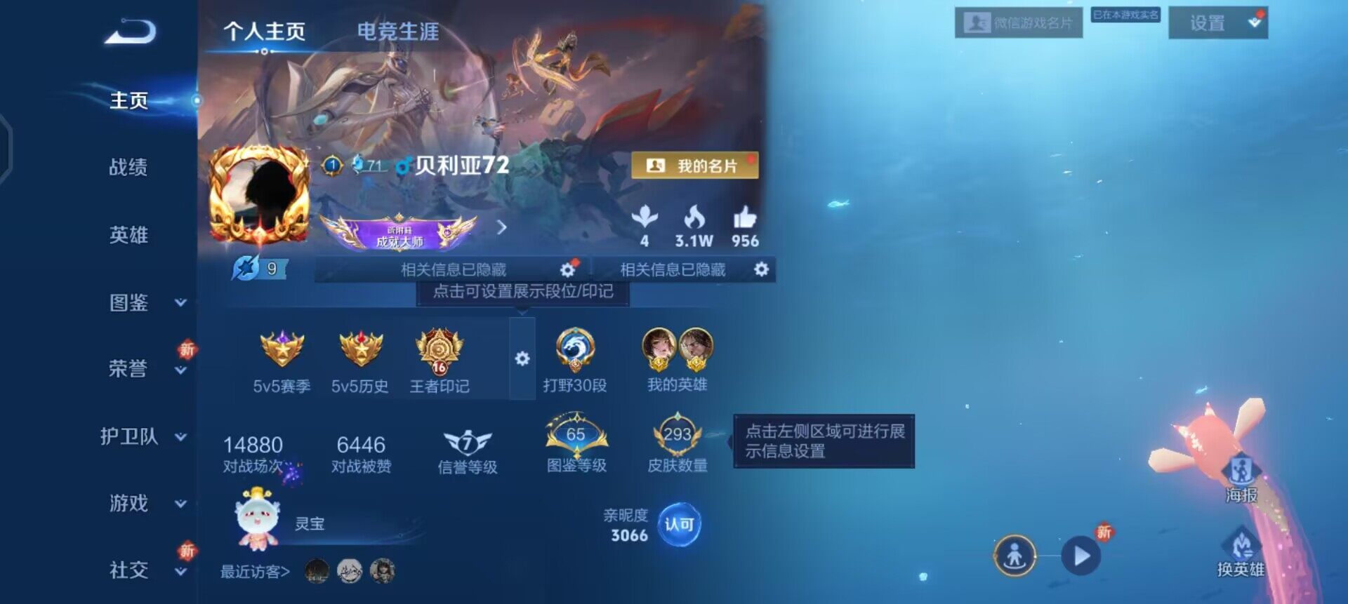 WZQM3471618王者荣耀账号详情图3