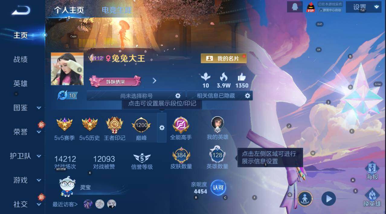 WZCMW3468928王者荣耀账号详情图13