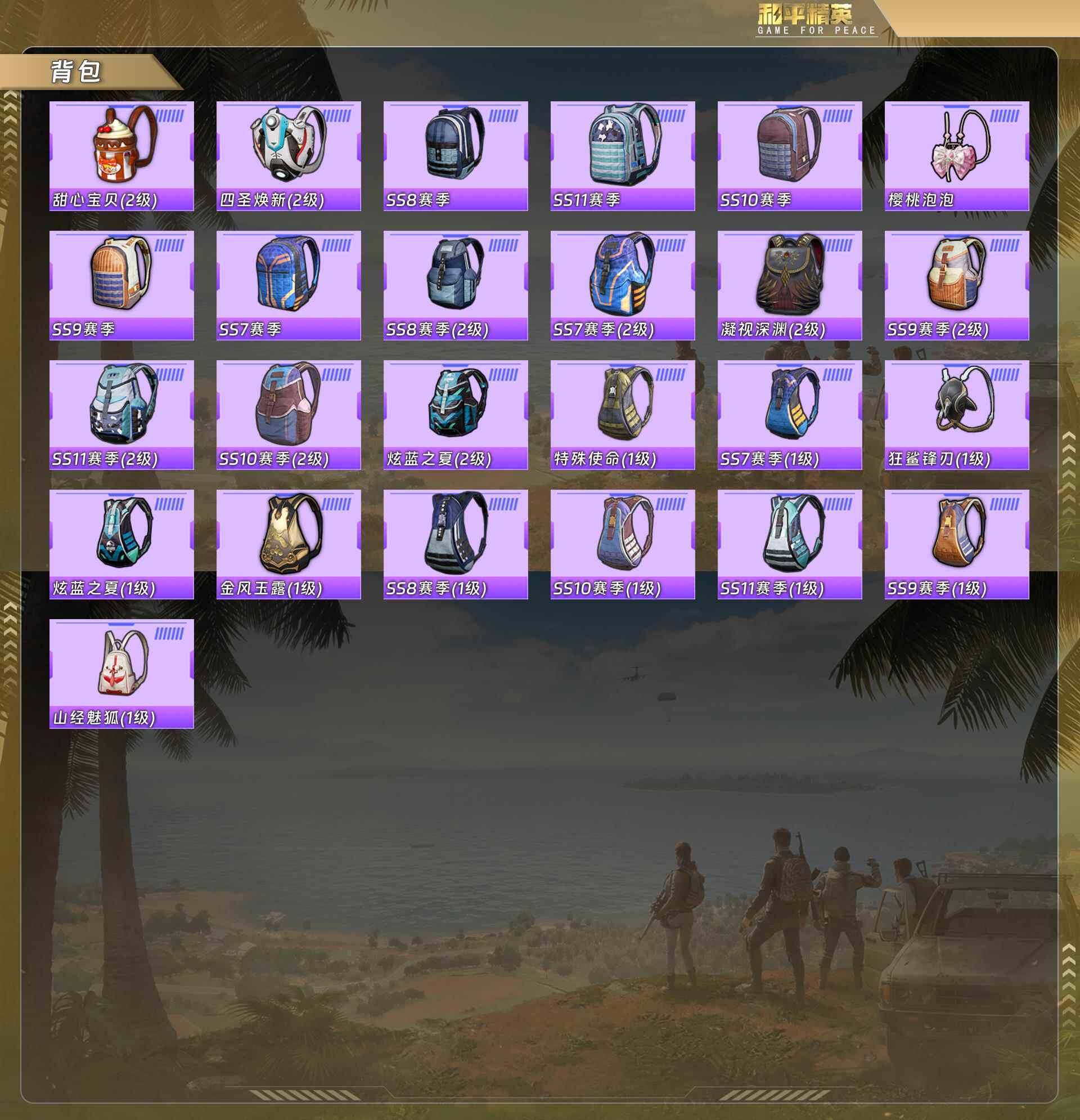 HPQM478145和平精英账号详情图11