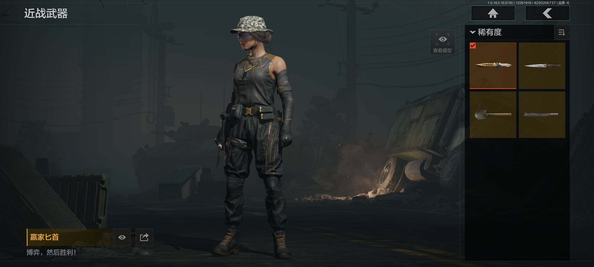 AQQM321117暗区突围账号详情图3