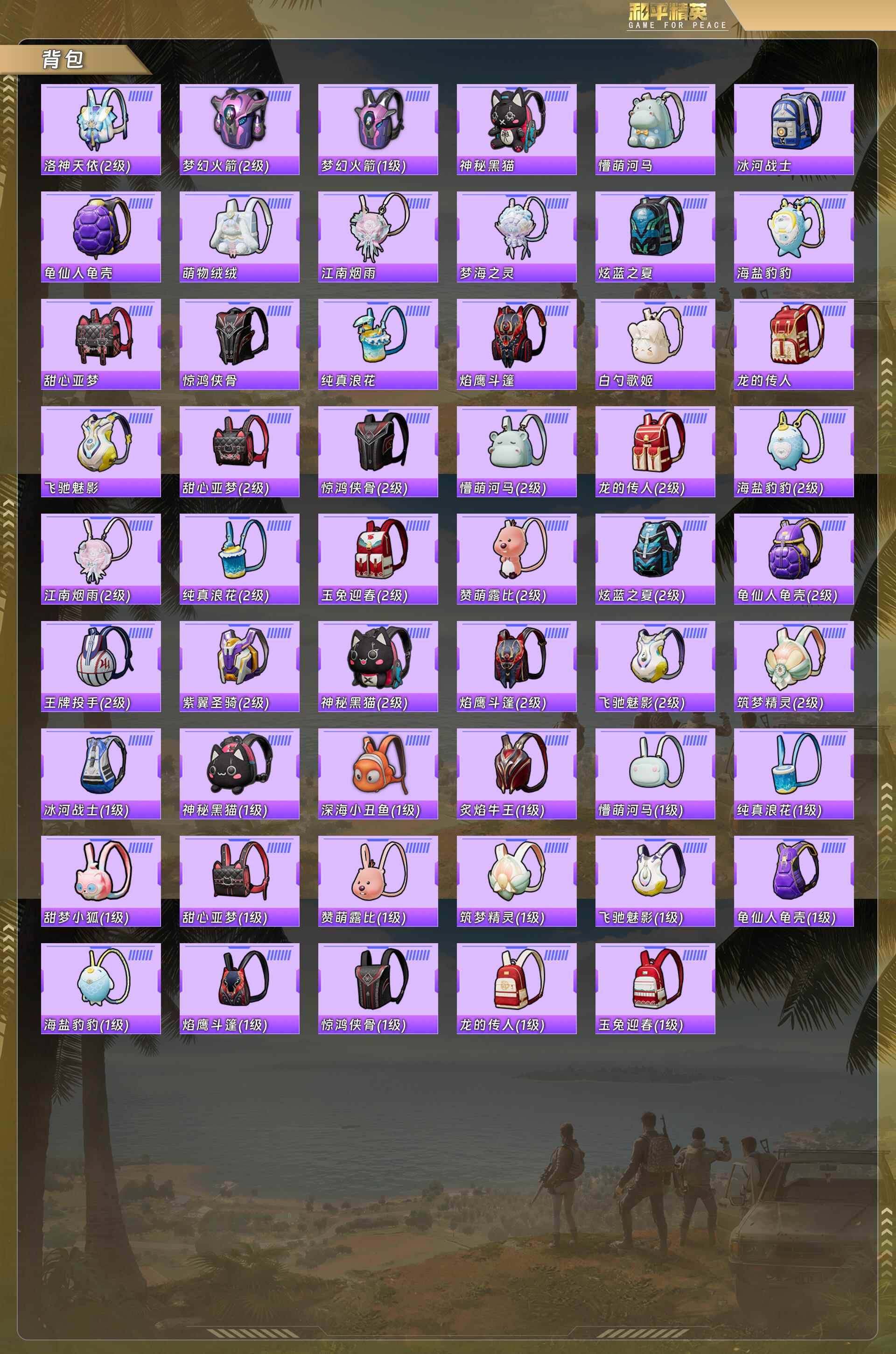 HPCMW478368和平精英账号详情图6