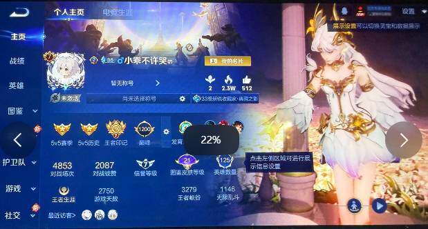 WZQM3474271王者荣耀账号详情图7