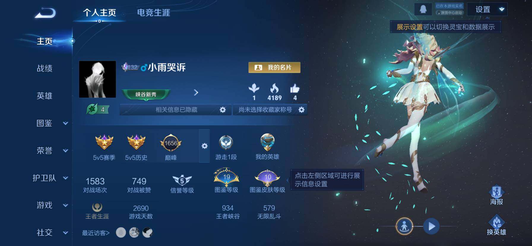 WZKG448735王者荣耀账号详情图14