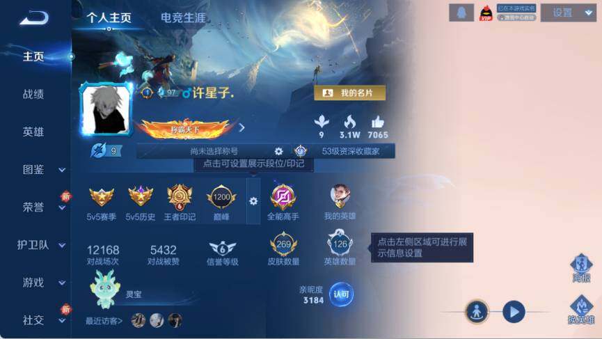 WZ033479901王者荣耀账号详情图9