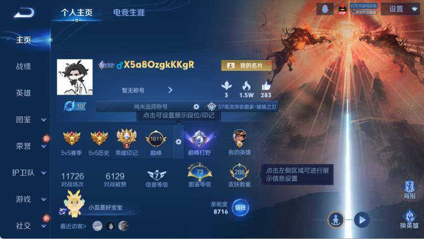 WZ033476940王者荣耀账号详情图10