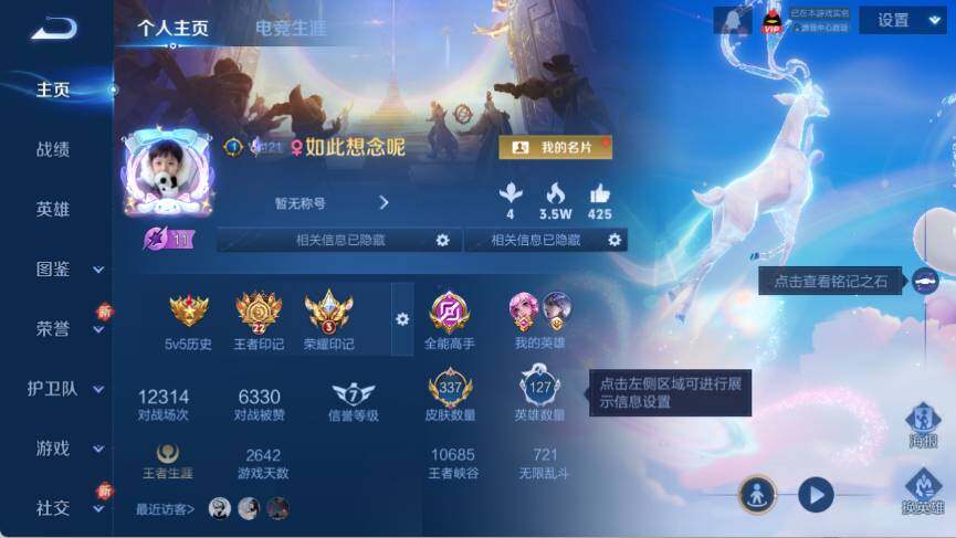 WZ033479863王者荣耀账号详情图11