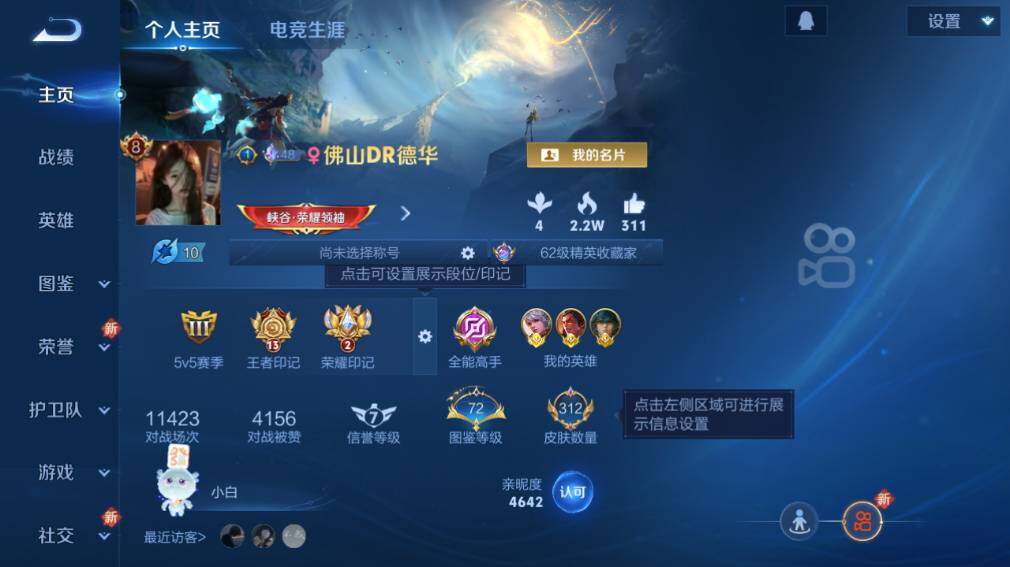 WZ033479905王者荣耀账号详情图8