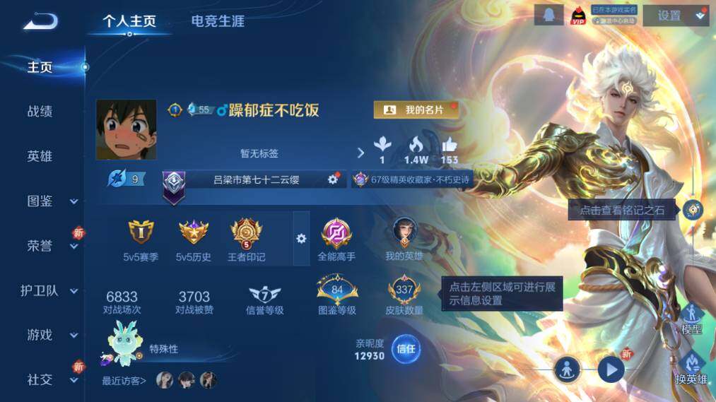 WZ033476911王者荣耀账号详情图8