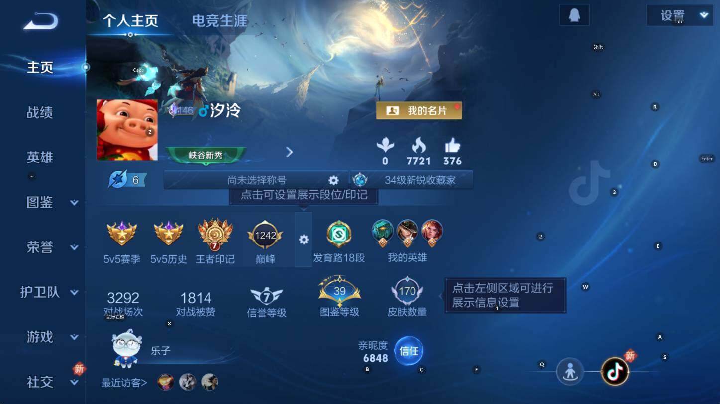 WZCMW3474836王者荣耀账号详情图7