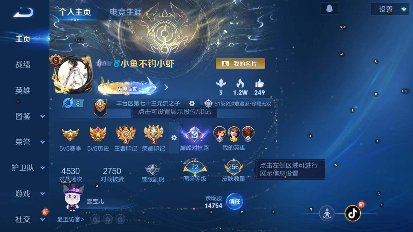 WZCMW3474837王者荣耀账号详情图9