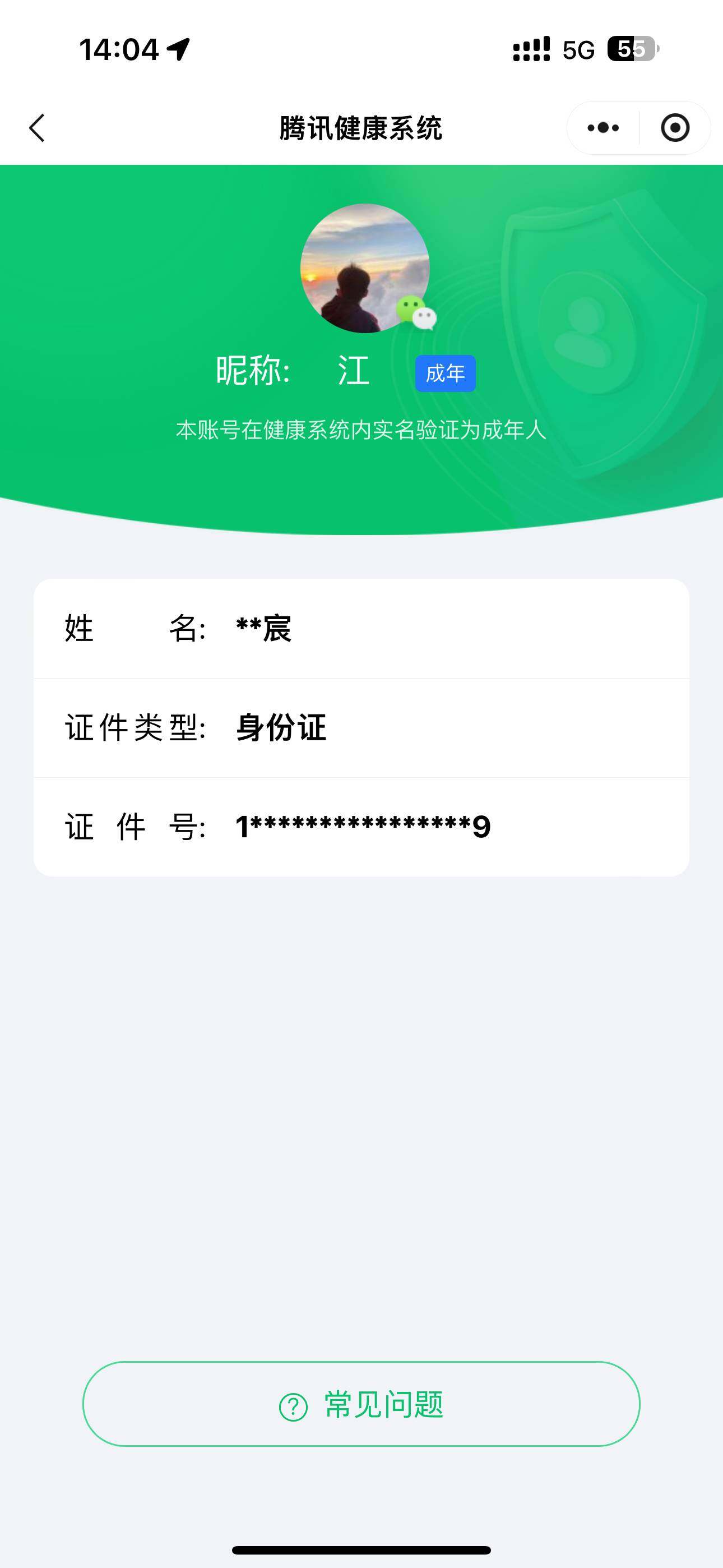 WZ033476793王者荣耀账号详情图12