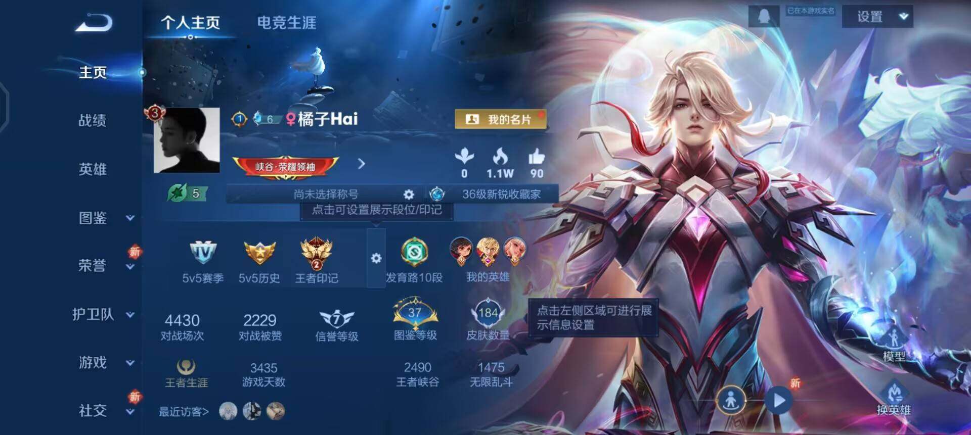 WZQM437945王者荣耀账号详情图3