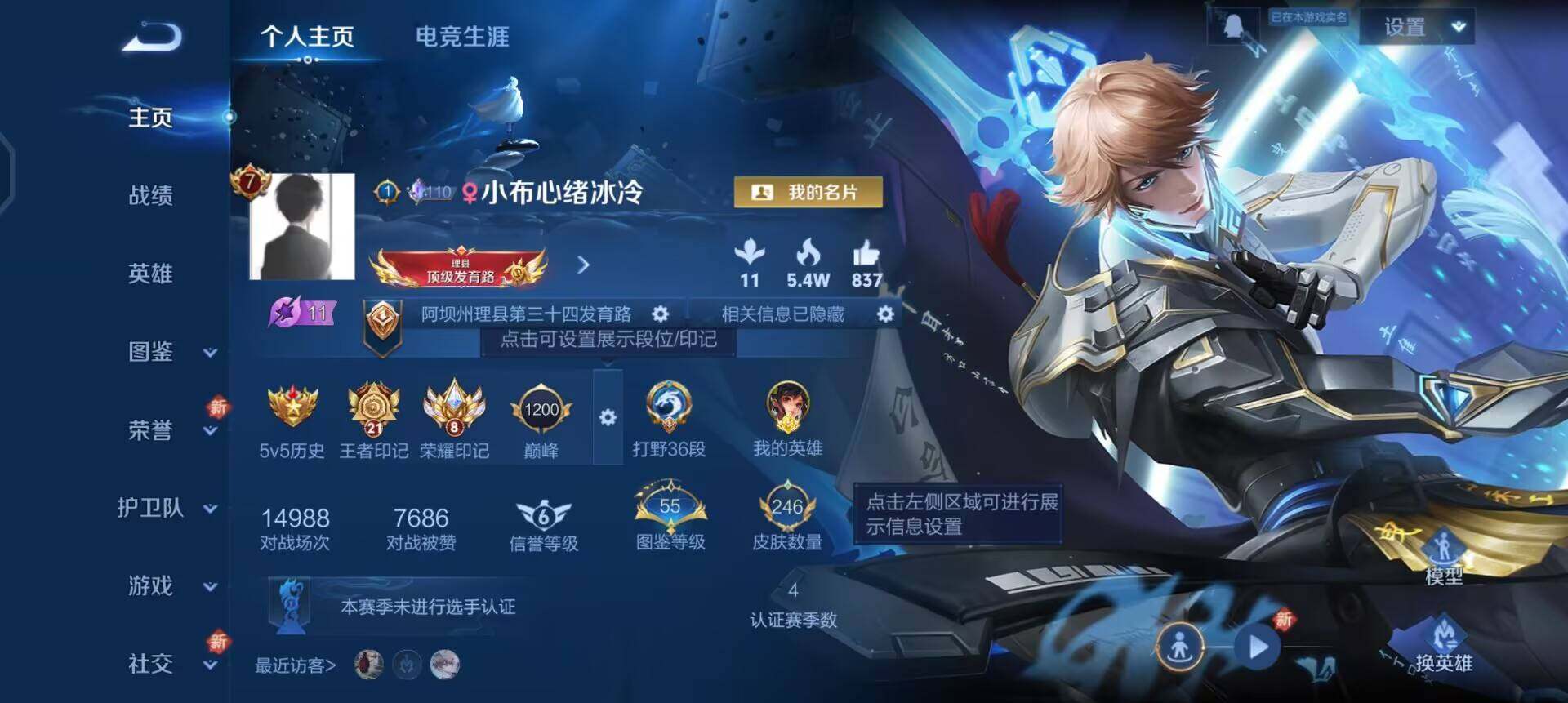 WZQM3479446王者荣耀账号详情图3