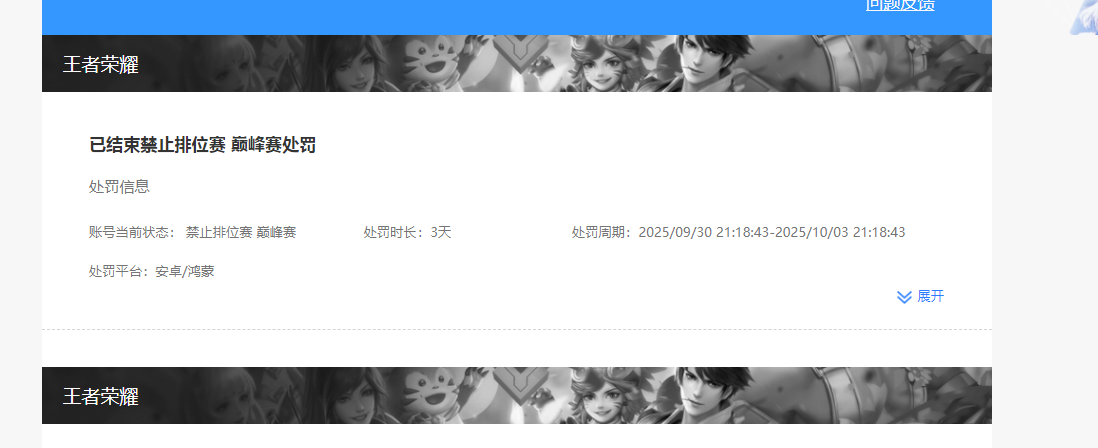 WZKG451301王者荣耀账号详情图9