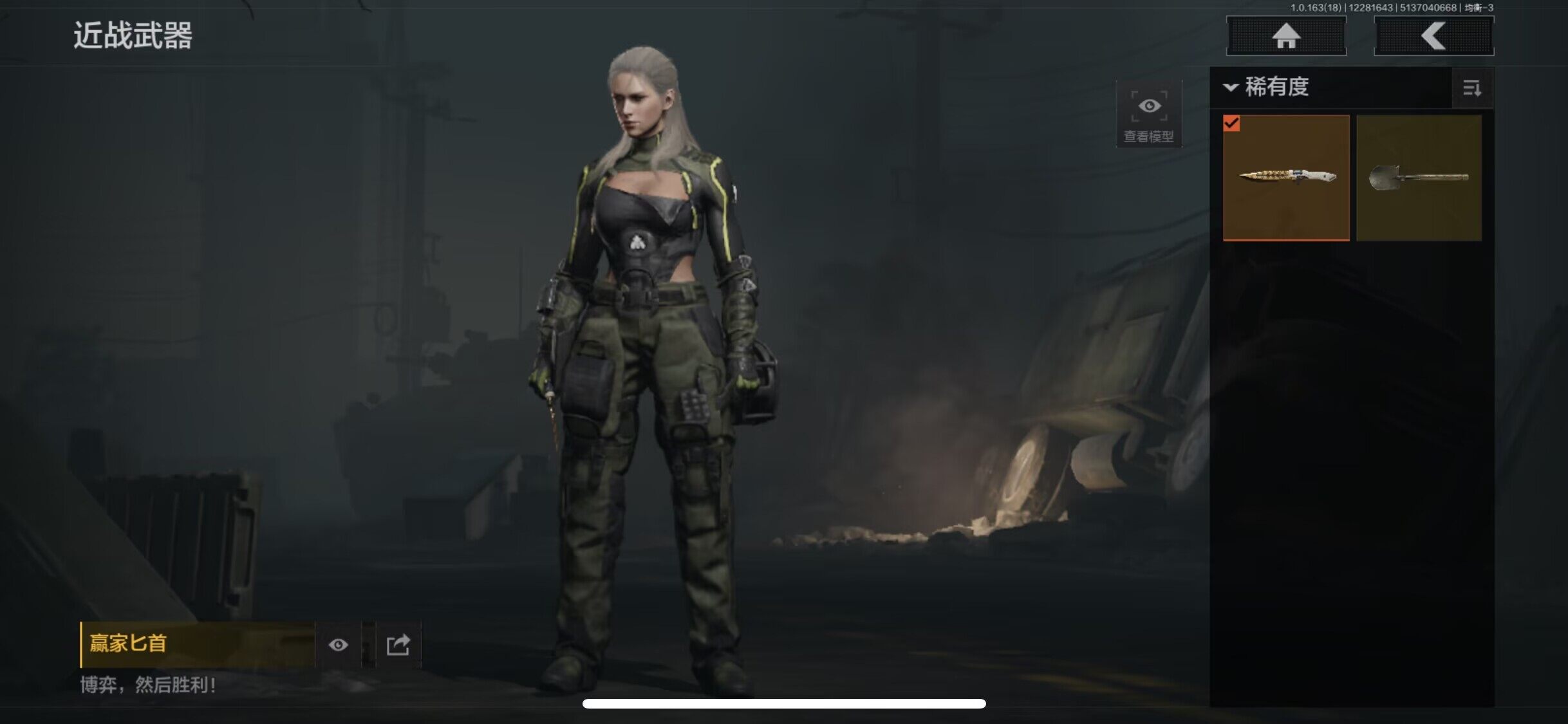 AQQM321360暗区突围账号详情图3