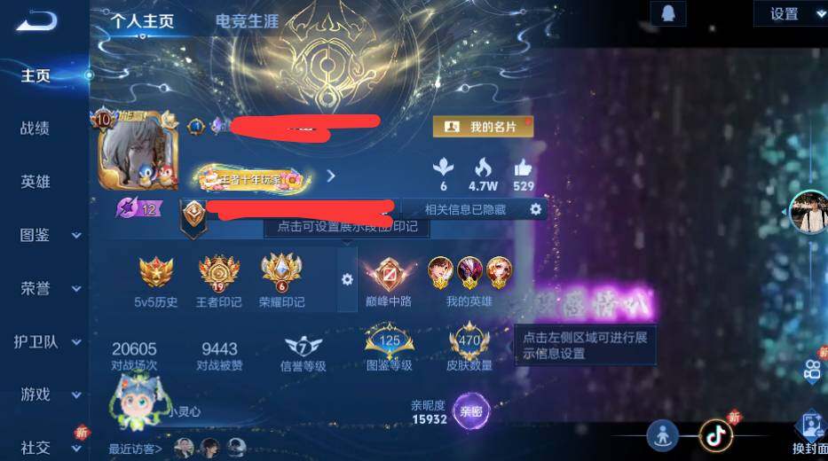 WZQM3475657王者荣耀账号详情图22