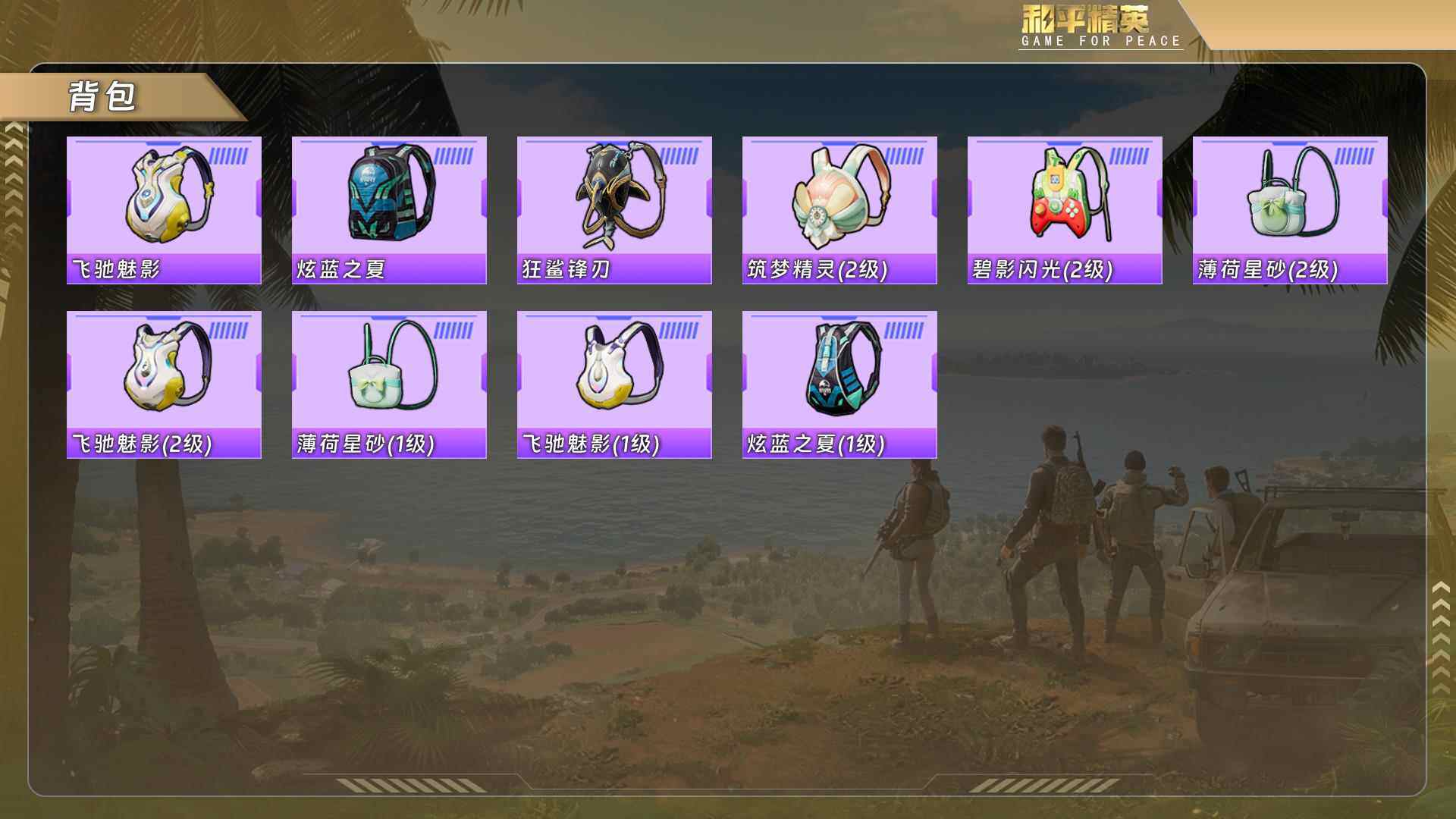 HPCMW478387和平精英账号详情图6