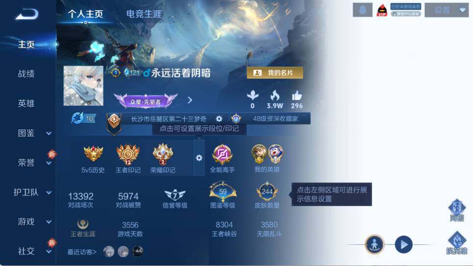 WZ033476933王者荣耀账号详情图9