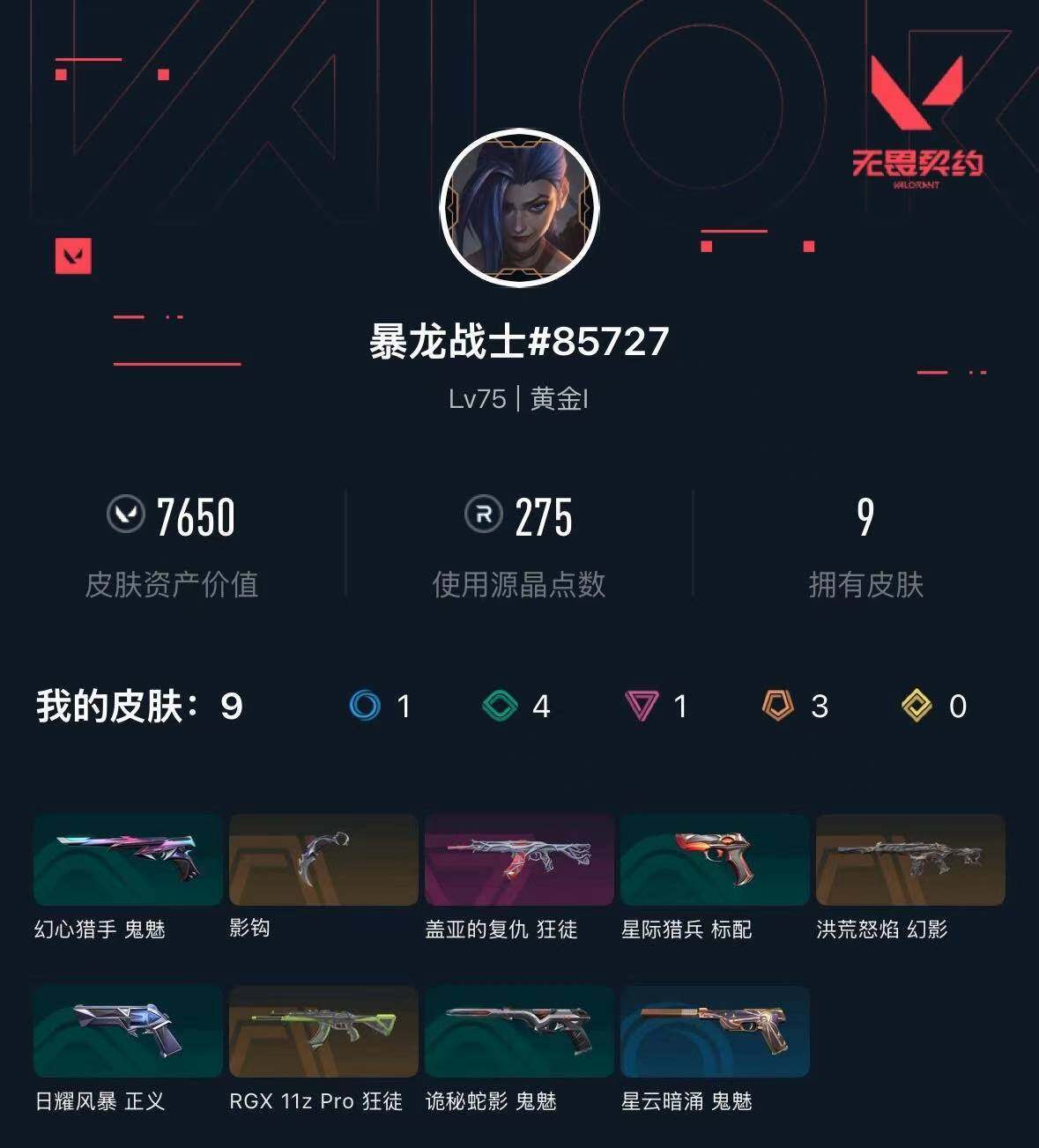 WWQXL333219无畏契约账号详情图3