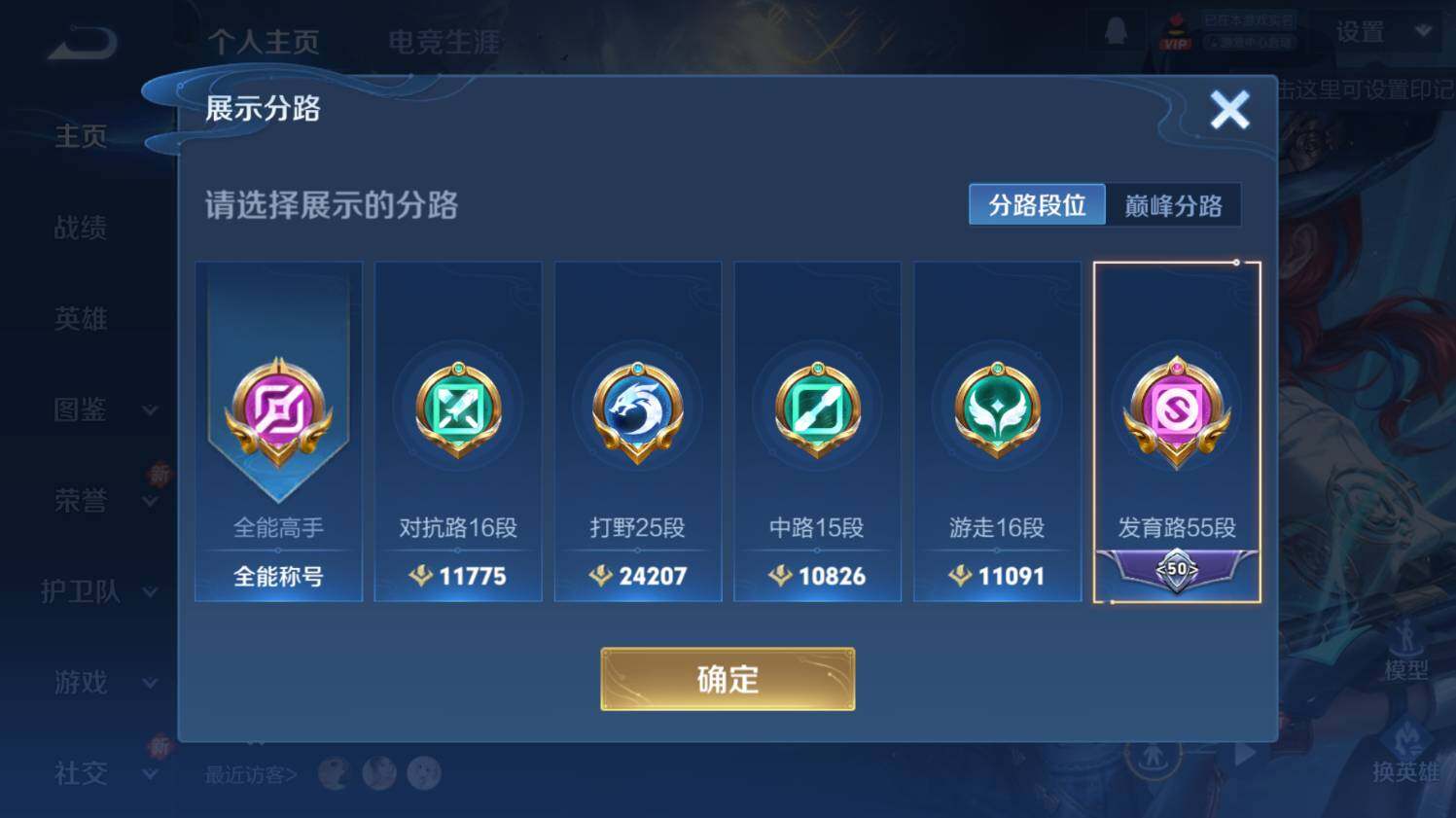 WZ033479877王者荣耀账号详情图13