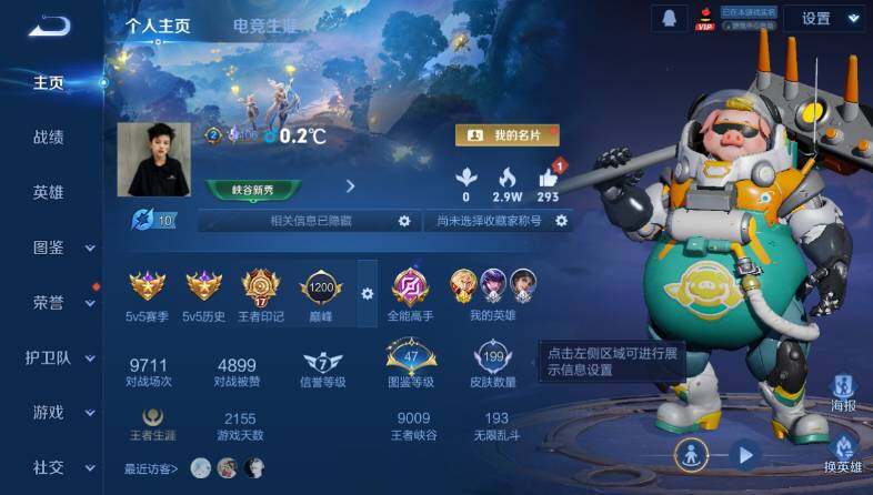 WZ033480086王者荣耀账号详情图8 WZ033480086王者荣耀账号详情图8