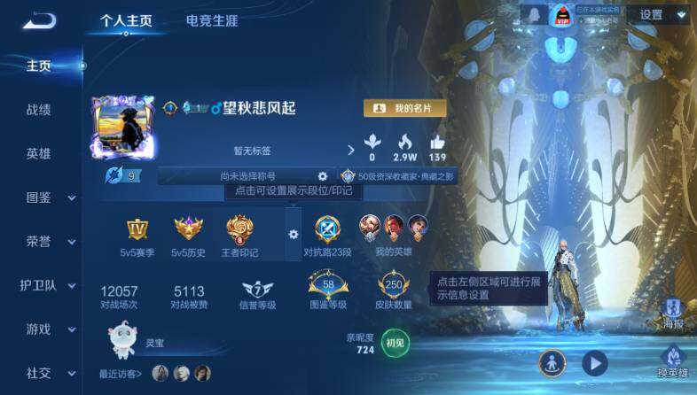 WZ033479973王者荣耀账号详情图9