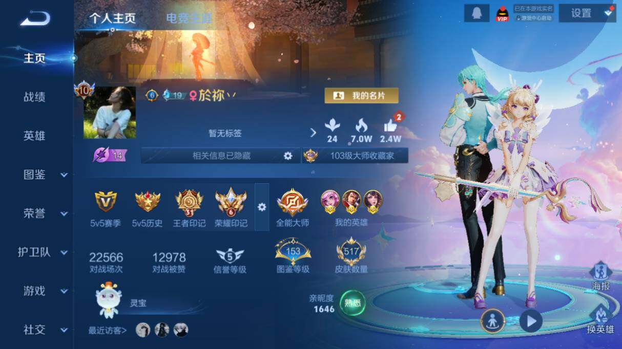 WZ033476828王者荣耀账号详情图14