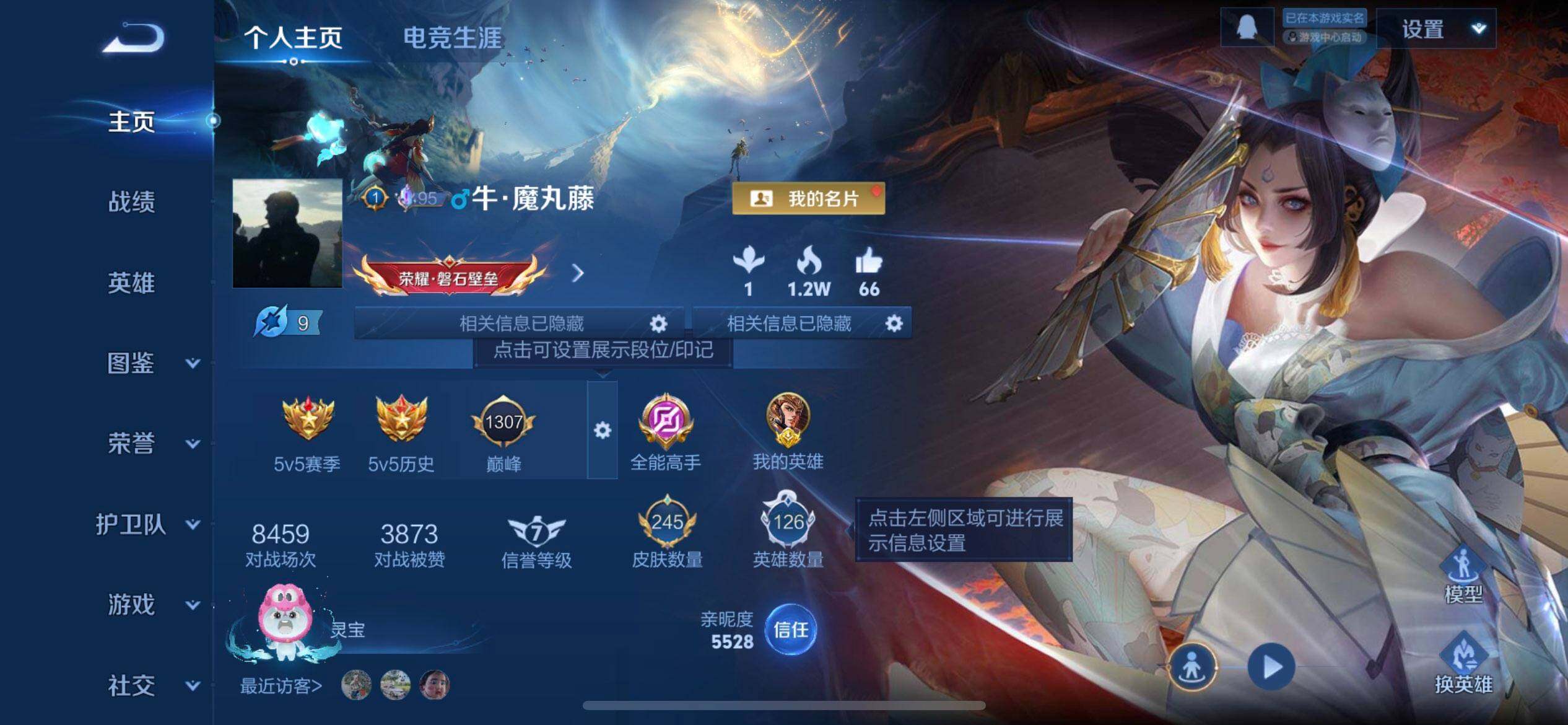 WZQM3482488王者荣耀账号详情图3