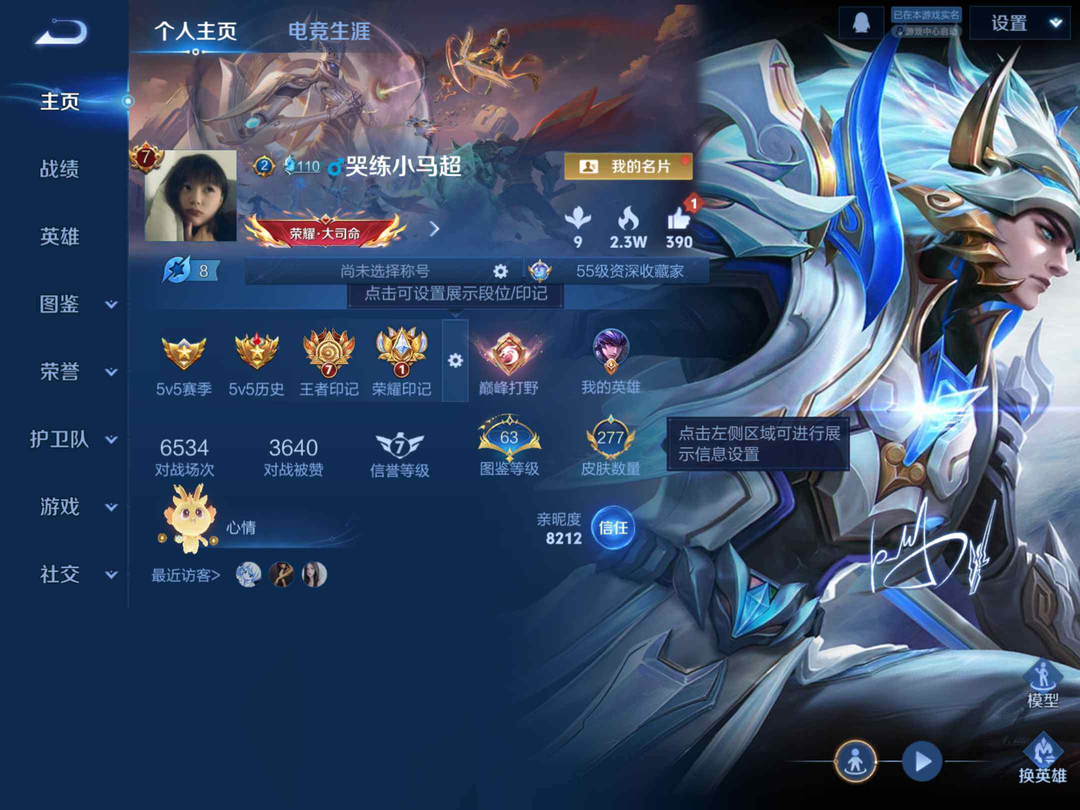 WZKG457372王者荣耀账号详情图9