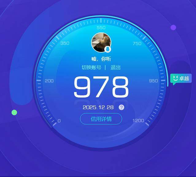 WZKG457373王者荣耀账号详情图10