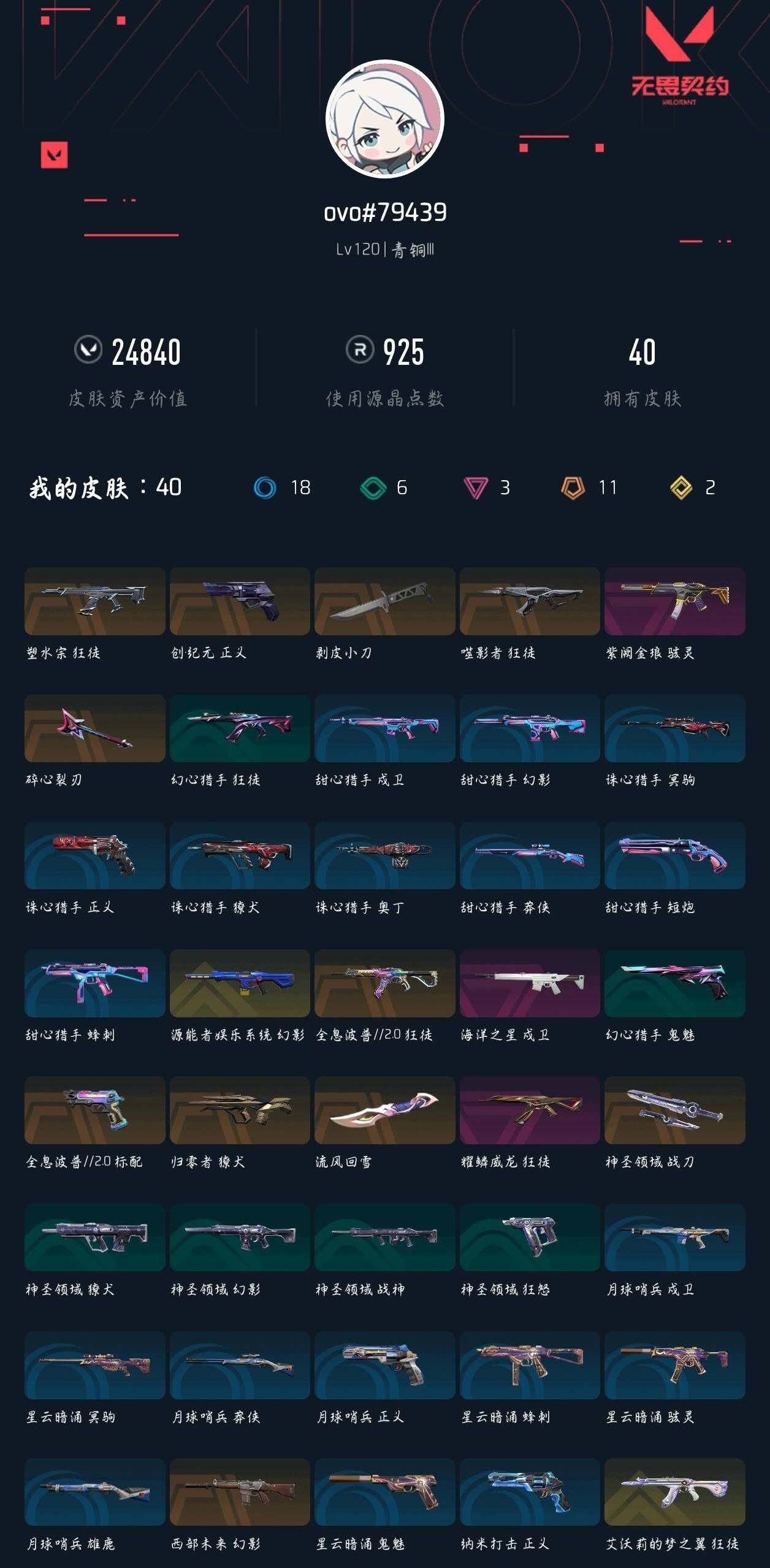 WWQXL333373无畏契约账号详情图2