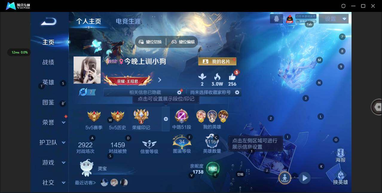 王者荣耀账号苹果QQ116英雄-133皮肤-[]【小国标弈星 金标嫦娥 金标王昭君 金标沈梦溪】实名: 可修改 贵族等级