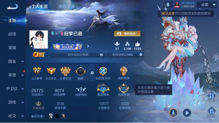 WZ033479813王者荣耀账号详情图14