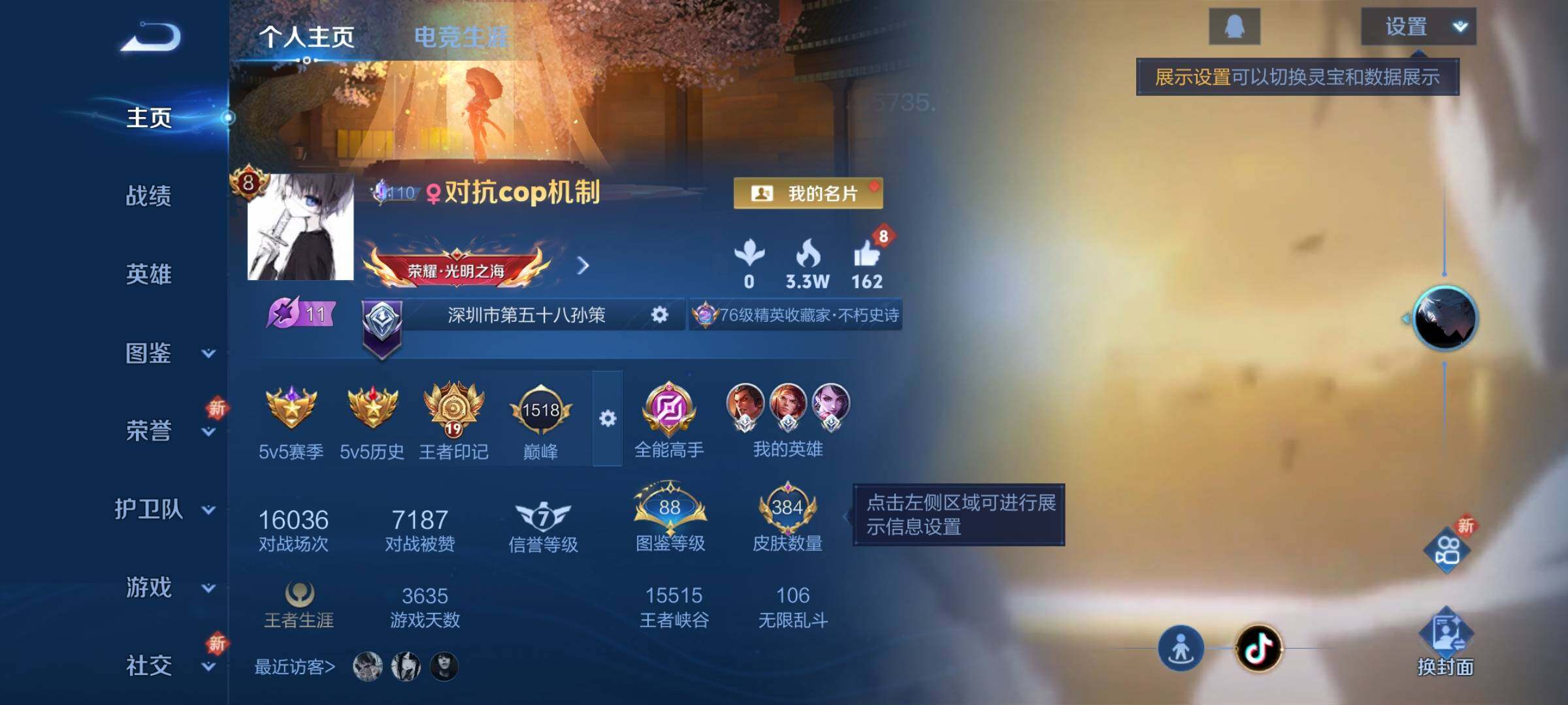 WZQM3477948王者荣耀账号详情图3