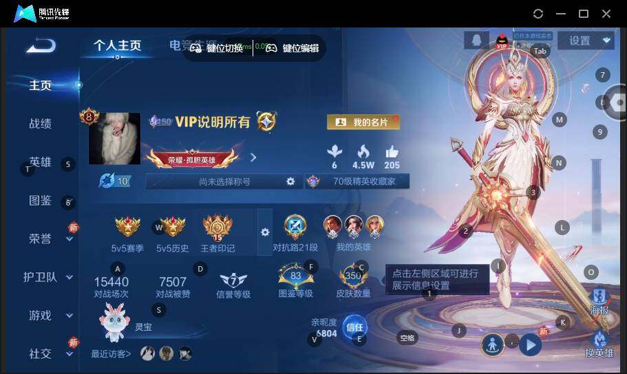 WZLX464196王者荣耀账号详情图8