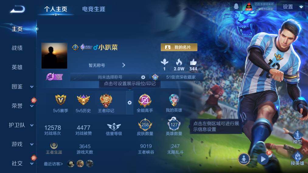 WZ033480008王者荣耀账号详情图9