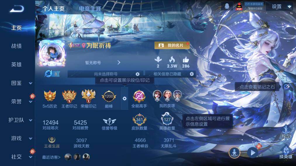 WZ033479824王者荣耀账号详情图10