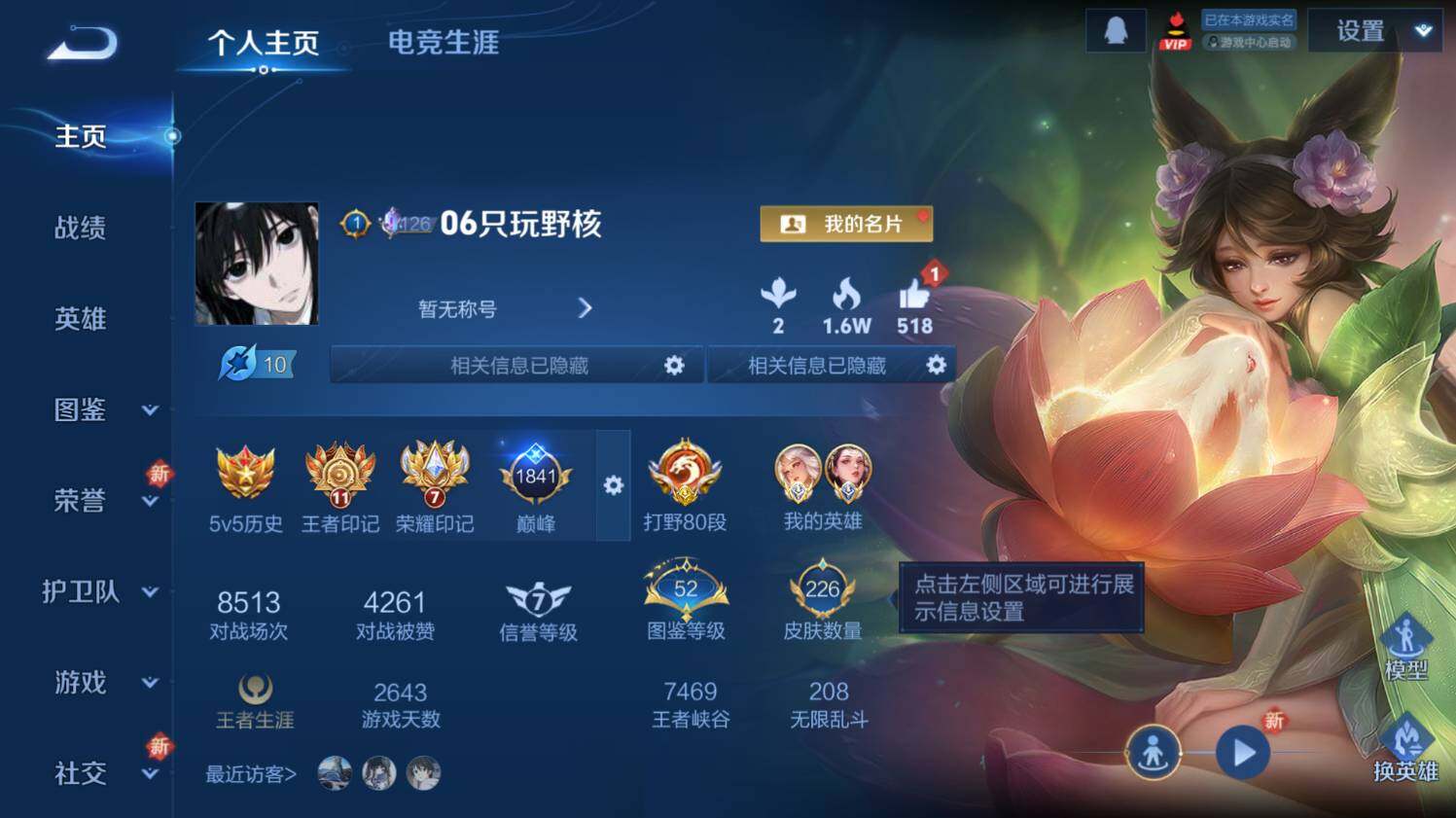 WZ033482935王者荣耀账号详情图8