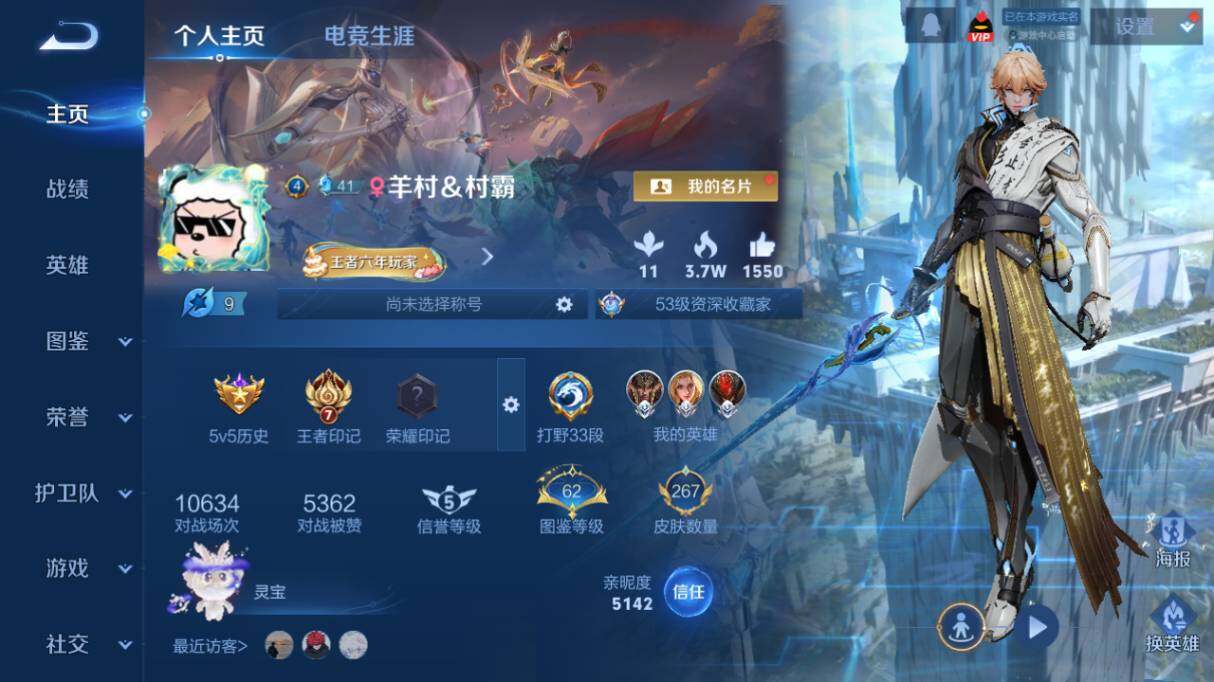 WZ033480091王者荣耀账号详情图10 WZ033480091王者荣耀账号详情图10