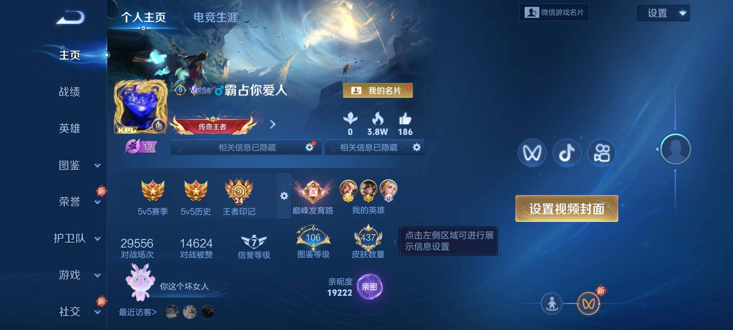 WZKG457377王者荣耀账号详情图9