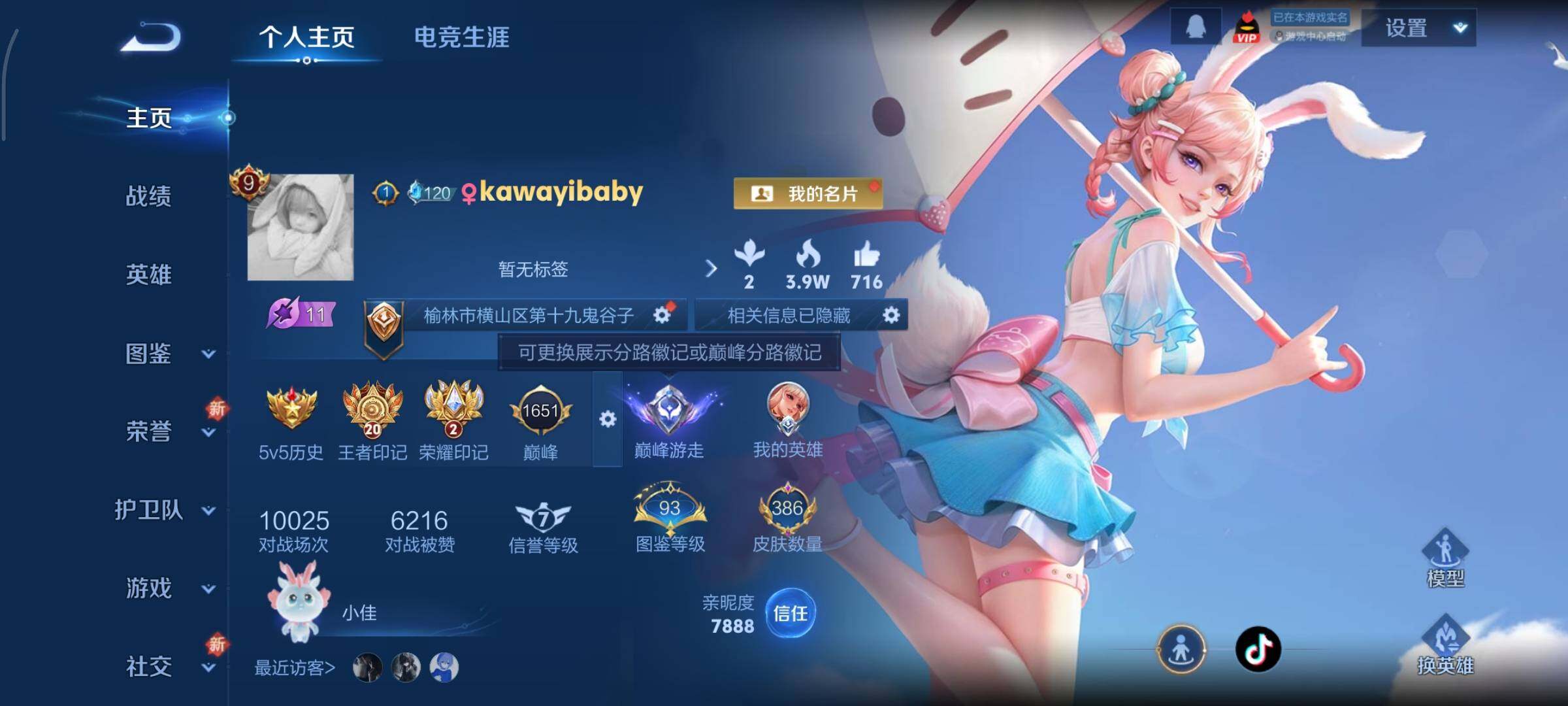 WZCMY3482415王者荣耀账号详情图2