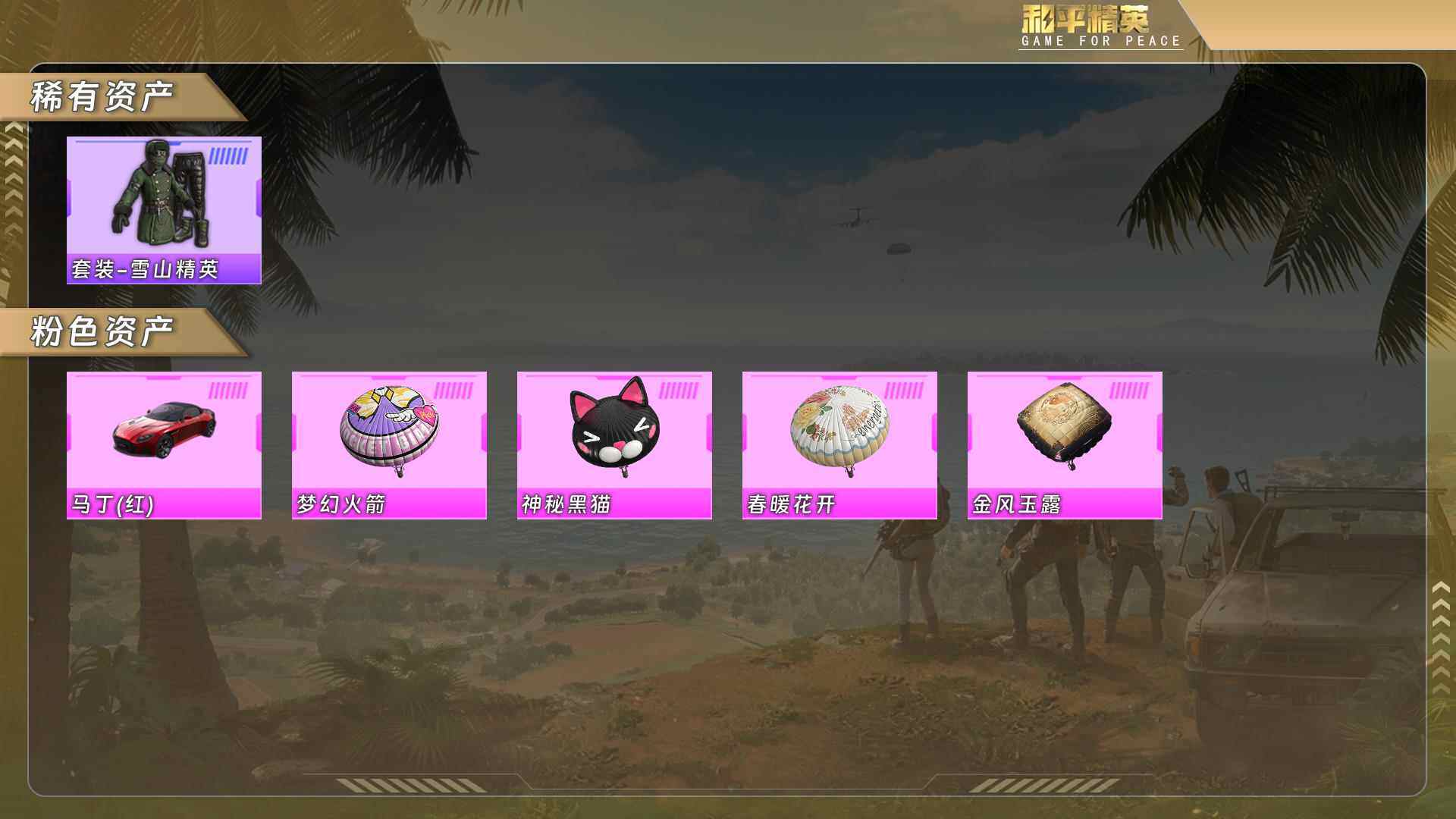 HPQM478153和平精英账号详情图6