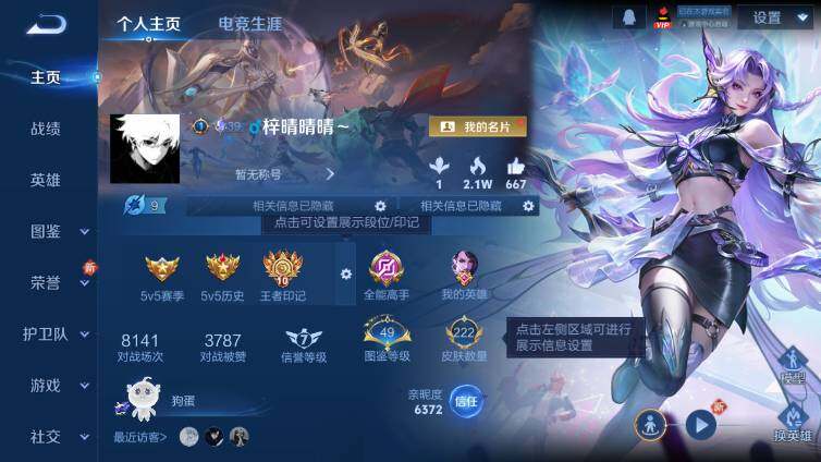 WZ033480176王者荣耀账号详情图7 WZ033480176王者荣耀账号详情图7