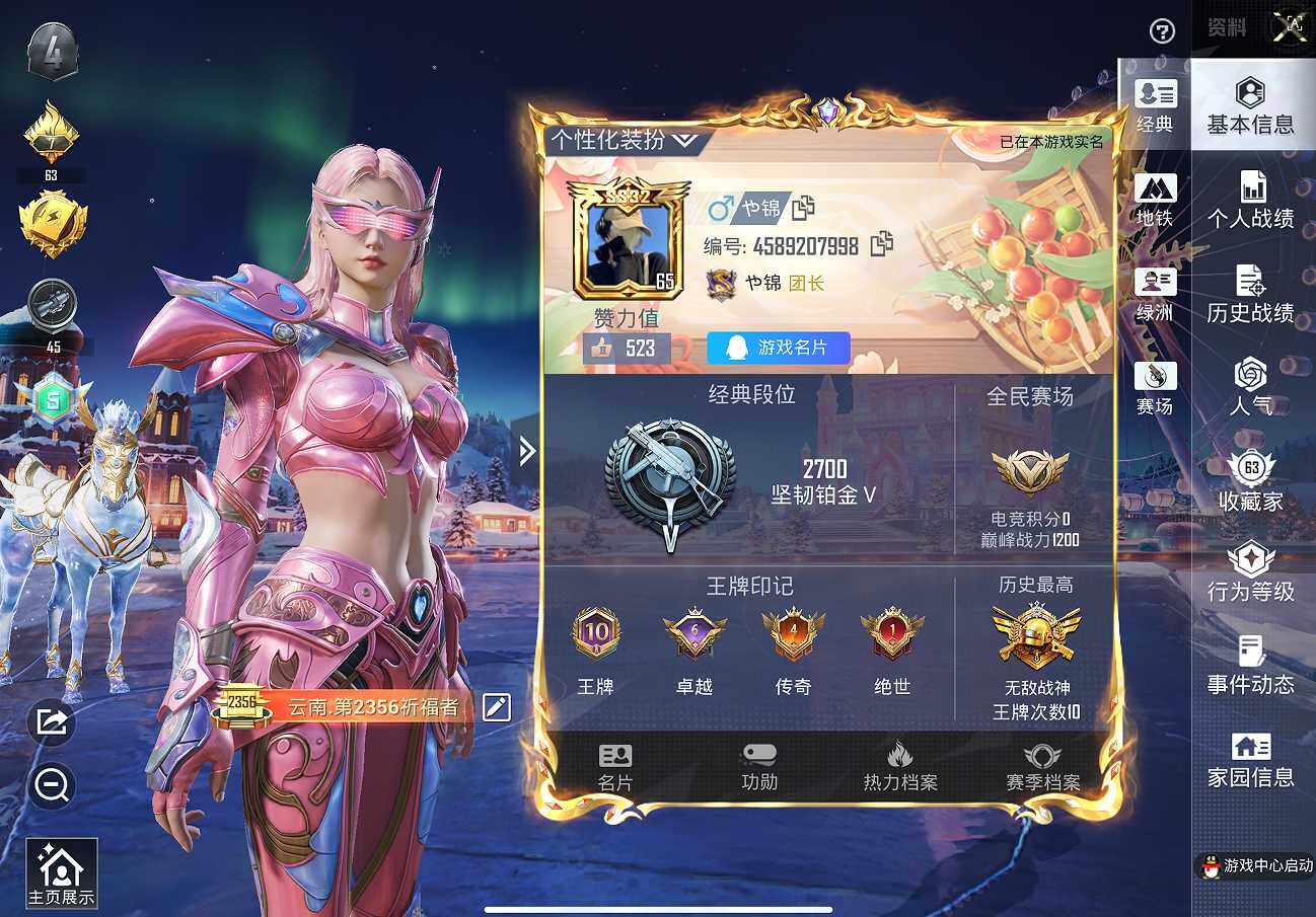 HPCMW3453997和平精英账号详情图17