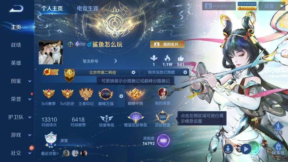 WZ03421280王者荣耀账号详情图13