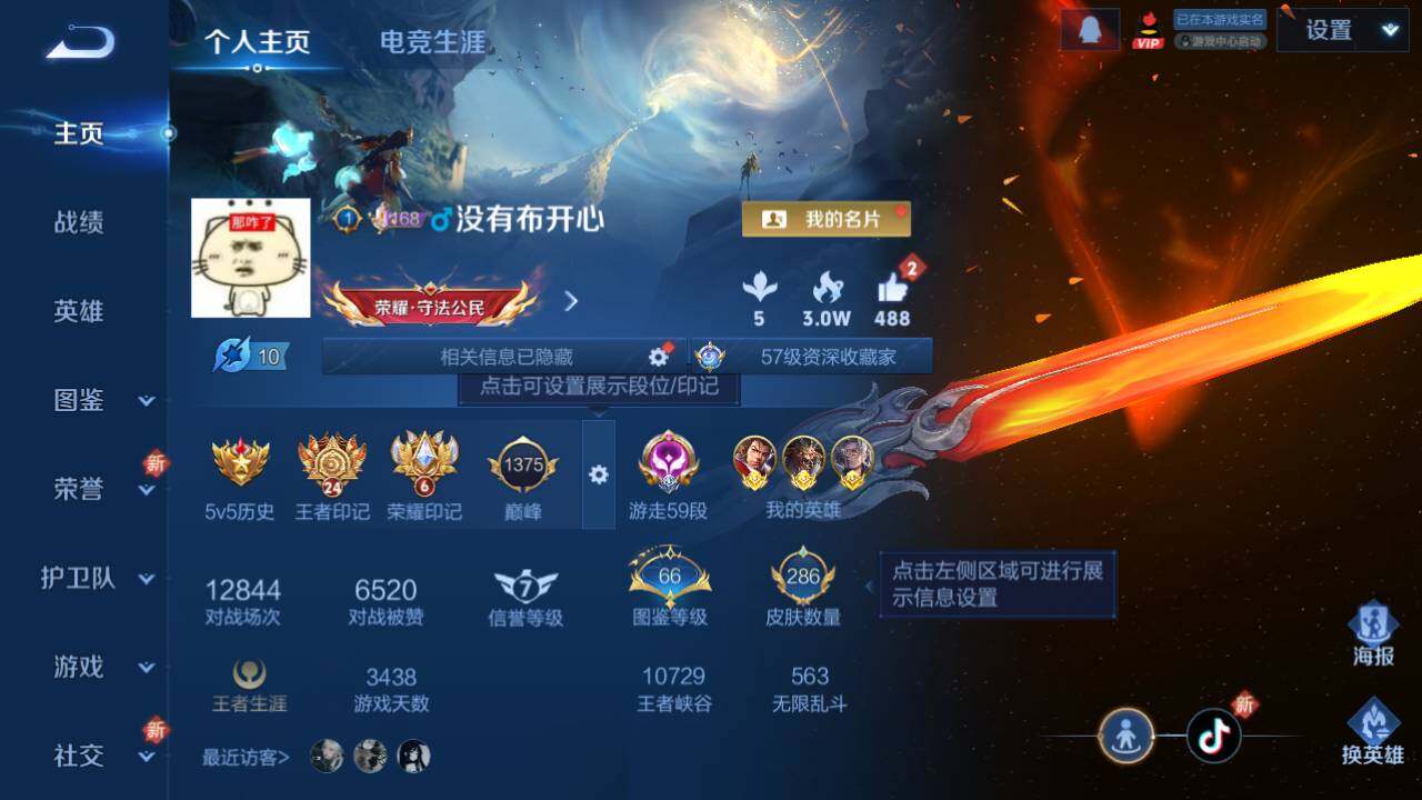 WZ033480125王者荣耀账号详情图14