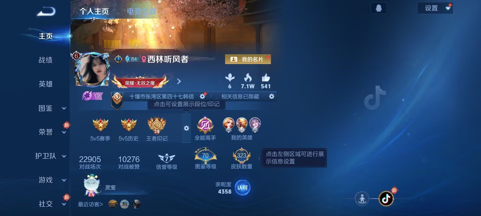 WZQM3480345王者荣耀账号详情图3