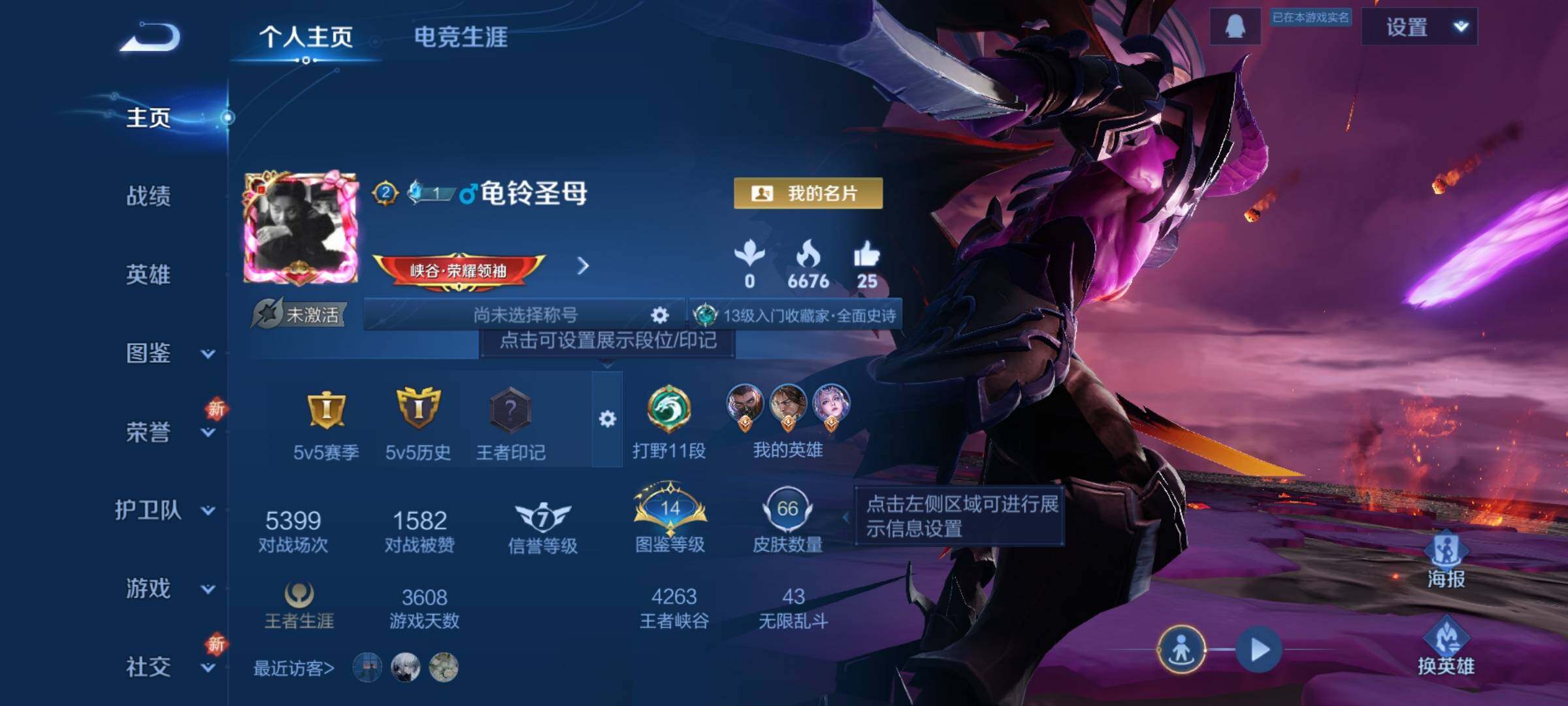 WZKG448757王者荣耀账号详情图13