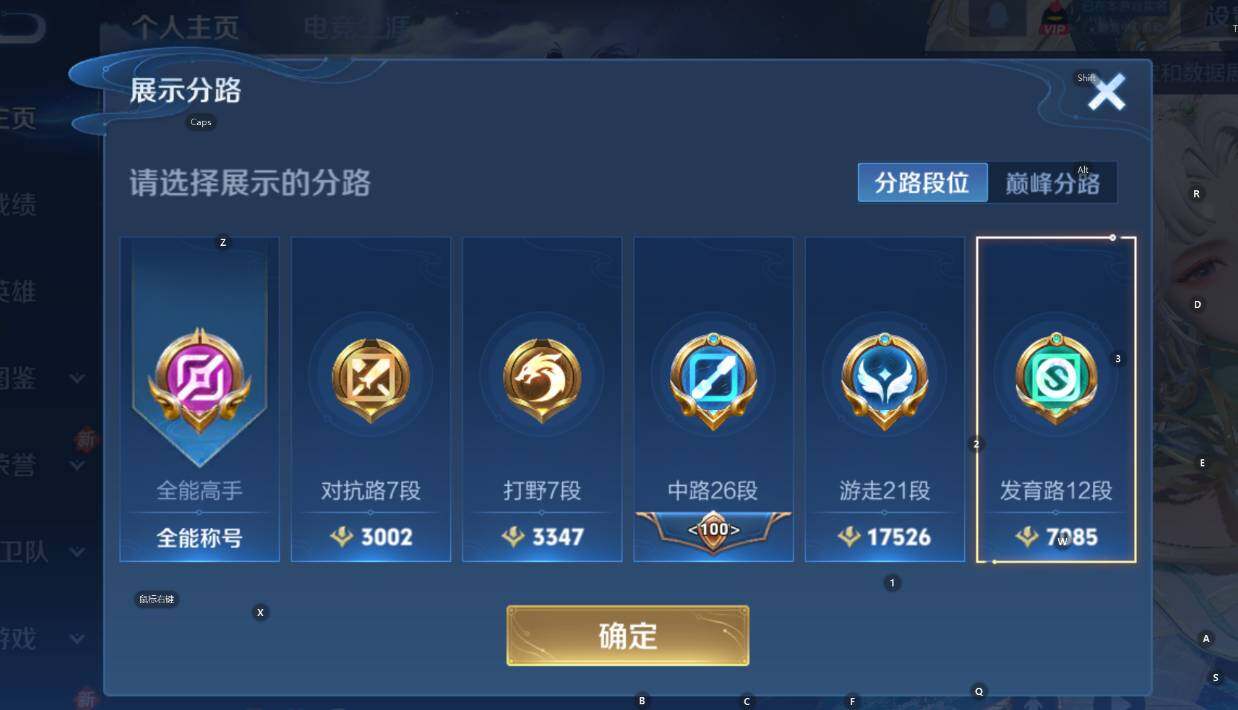 WZCMW3480817王者荣耀账号详情图14