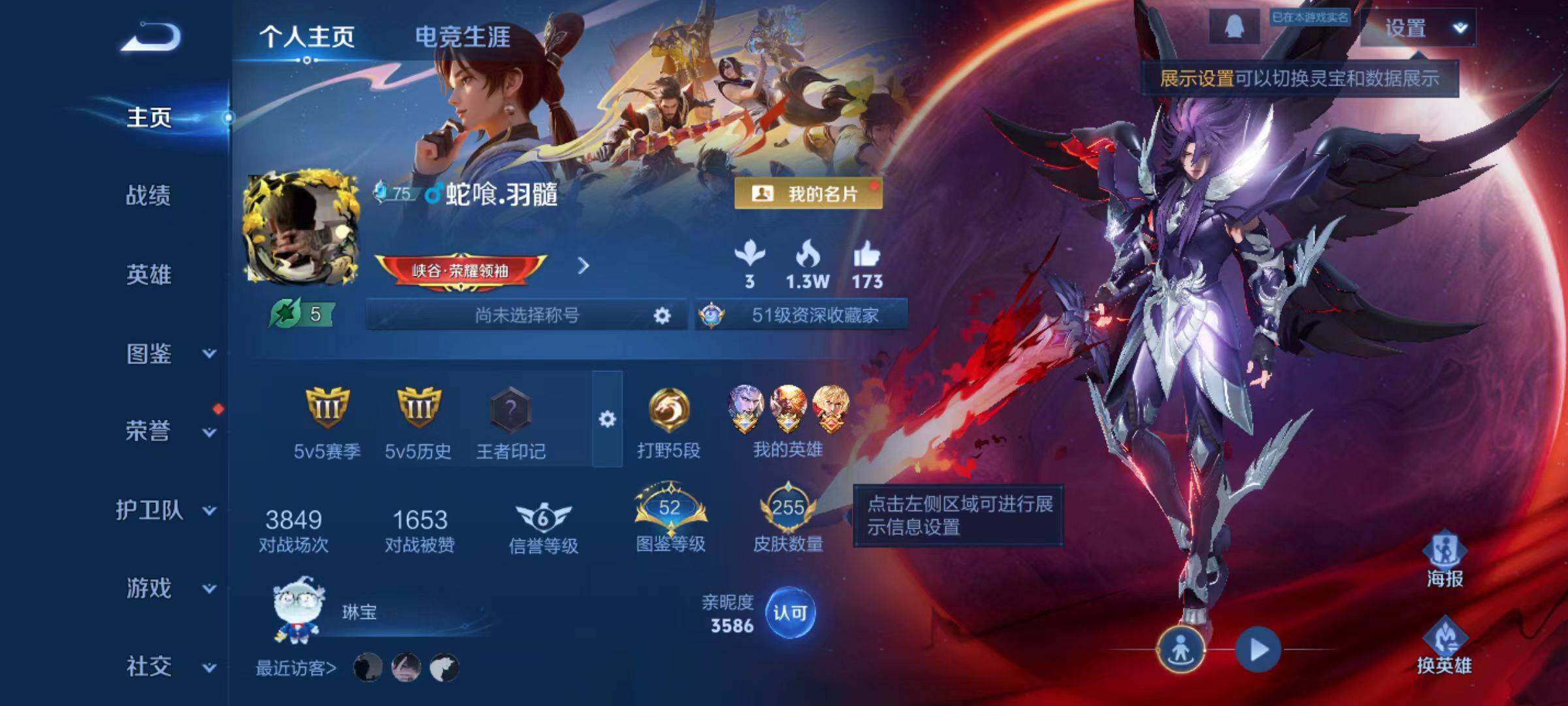 WZLX466496王者荣耀账号详情图7